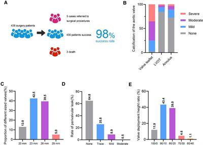 The first clinical data of the SAPIEN 3 aortic valve in the treatment of aortic stenosis in China